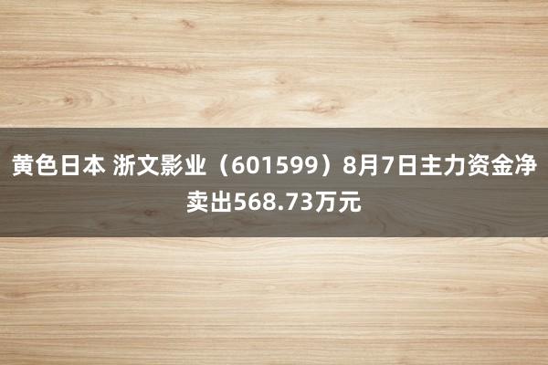 黄色日本 浙文影业（601599）8月7日主力资金净卖出568.73万元