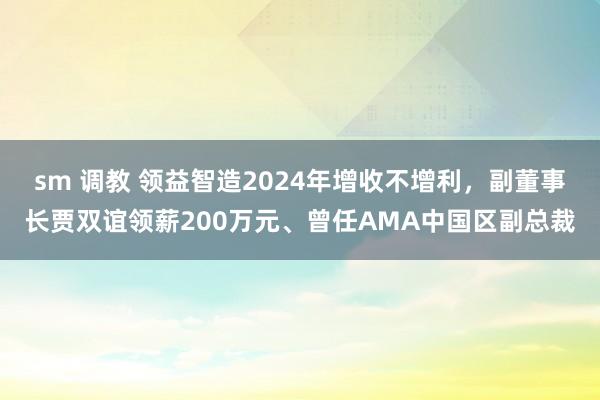 sm 调教 领益智造2024年增收不增利，副董事长贾双谊领薪200万元、曾任AMA中国区副总裁