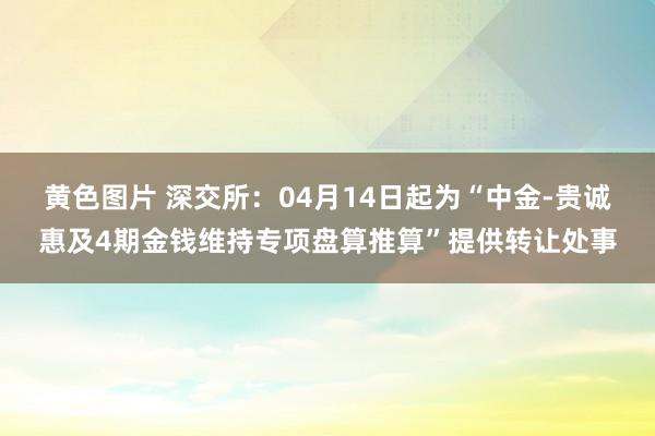 黄色图片 深交所：04月14日起为“中金-贵诚惠及4期金钱维持专项盘算推算”提供转让处事