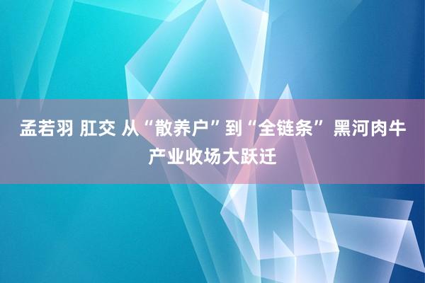 孟若羽 肛交 从“散养户”到“全链条” 黑河肉牛产业收场大跃迁