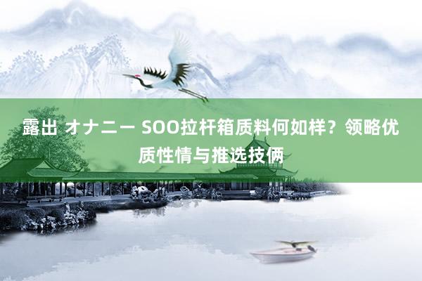 露出 オナニー SOO拉杆箱质料何如样？领略优质性情与推选技俩