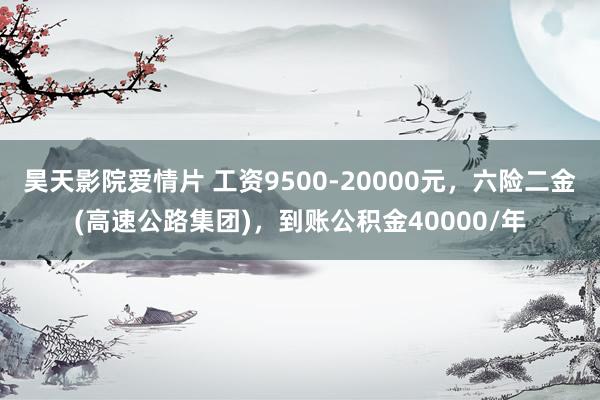 昊天影院爱情片 工资9500-20000元，六险二金(高速公路集团)，到账公积金40000/年