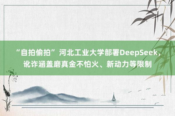 “自拍偷拍” 河北工业大学部署DeepSeek，讹诈涵盖磨真金不怕火、新动力等限制